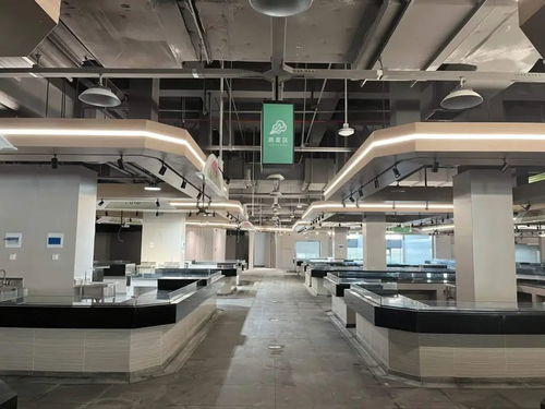 荷花堤市集即將竣工 什么時候開業 趕緊來先睹為快